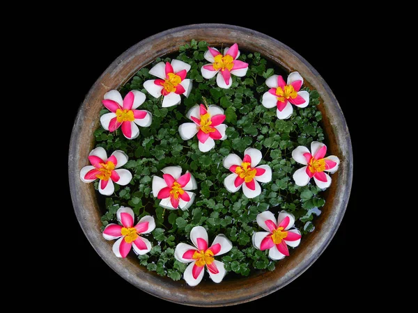 Flower decorations in traditional Thai big water jar on black ba — Stock Photo, Image