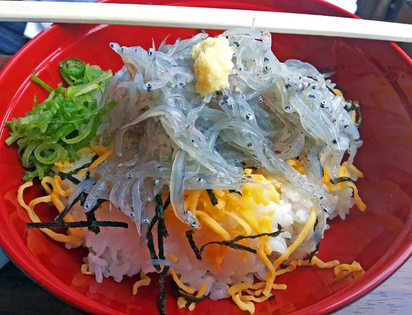 Μπολ raw Ιαπωνικά γαύρου με ρύζι, ή Shirasu-don — Φωτογραφία Αρχείου