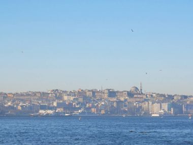 Feribotlar sabah görünümü ile Istanbul boğaz boğaz, konut, iş binalar, Camii ve turistik görmek. Ön planda biz grupları ve mavi gökyüzünde uçan kuşlar Yüzme yunuslar görebilirsiniz.