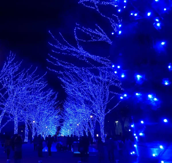 Tokyo, Japonya - 28 Aralık 2017: Shibuya mavi tünel veya Ao hiçbir Dokutsu aydınlatma Yoyogi Park yakınındaki Shibuya Park Caddesi'nde tutuluyor. 600.000 mavi Led ışıklar zelkova ağaçlar hat boyunca kullanılır.