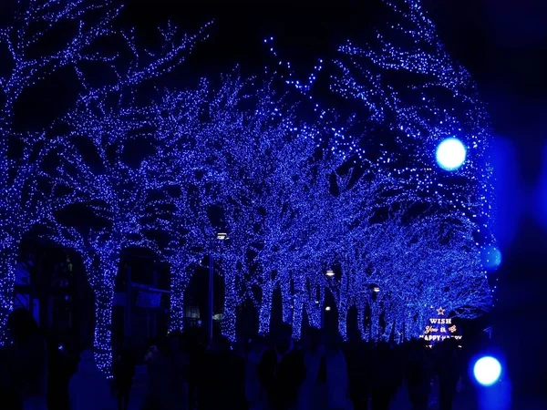 Tokyo, Japonya - 28 Aralık 2017: Shibuya mavi tünel veya Ao hiçbir Dokutsu aydınlatma Yoyogi Park yakınındaki Shibuya Park Caddesi'nde tutuluyor. 600.000 mavi Led ışıklar zelkova ağaçlar hat boyunca kullanılır.