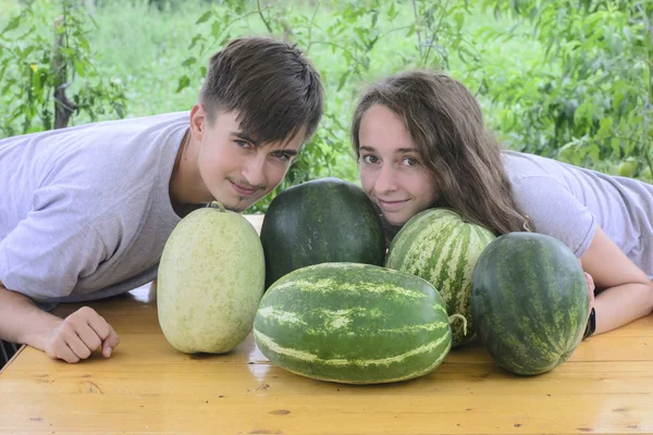 Close Retrato Belo Par Jovem Sorrindo Entre Melancias Doces Tomates — Fotografia de Stock