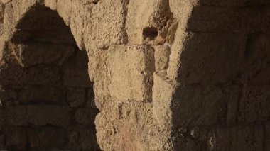 Roma su kemeri Caesarea İsrail'in süslü kemerler