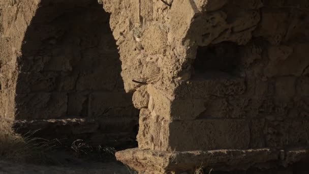 Старий водопровід на пляжі в Кесарії Ізраїлю — стокове відео
