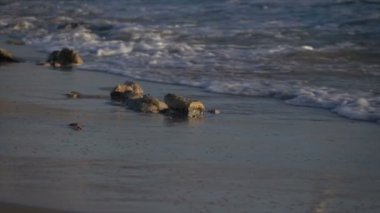Ağır çekim Surf kayalık sahil boyunca yıkama
