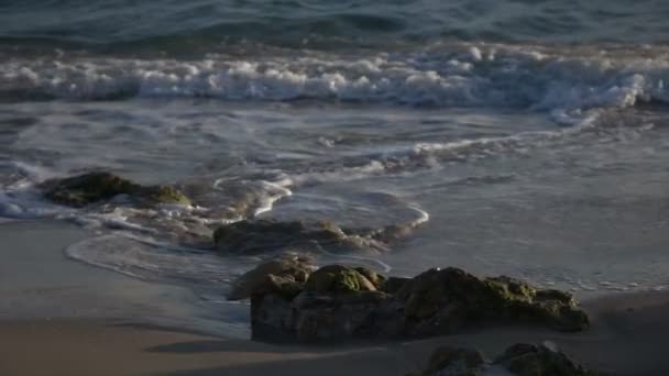 Αργή κίνηση Surf συντρίβοντας πάνω από το βραχώδη ακτογραμμή — Αρχείο Βίντεο