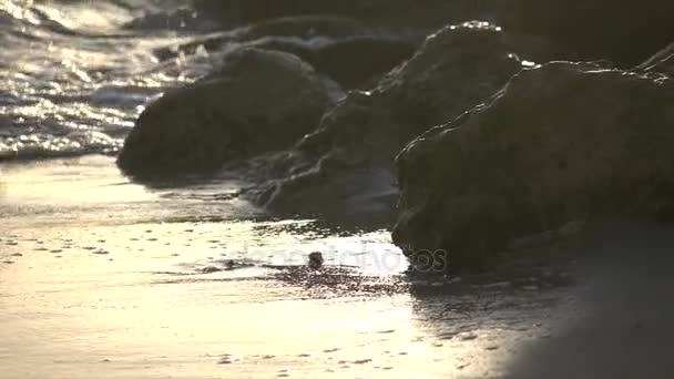 Brillante pintura al atardecer olas de oro en cámara lenta — Vídeo de stock