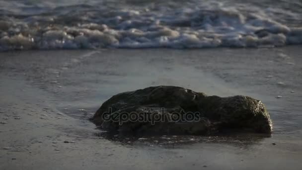 Ondas de lavado lento sobre una sola roca en la playa — Vídeos de Stock