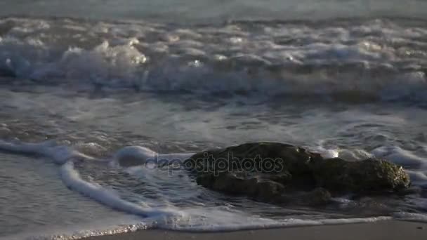 Surf oceanico Lavarsi lentamente intorno alle rocce sulla spiaggia — Video Stock