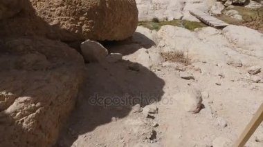 Küçük akışına aşağı çöl yolu yürüyüş