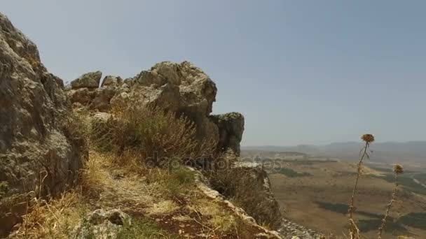 Droge struiken en distels aan kant van Cliff in Israël — Stockvideo