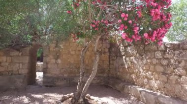 İsrail Church yakınındaki küçük gizli Bahçe