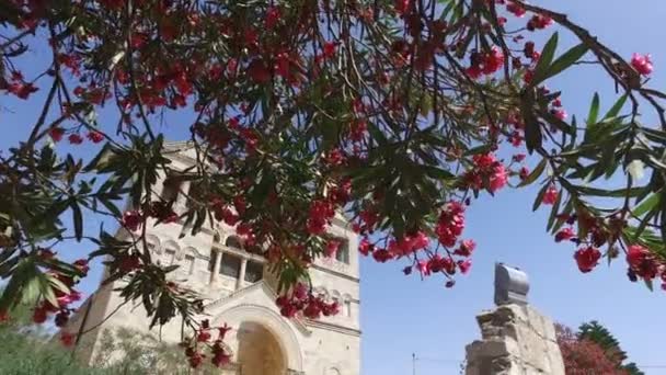 Mirando a través de ramas de árbol en la iglesia masiva detrás — Vídeo de stock