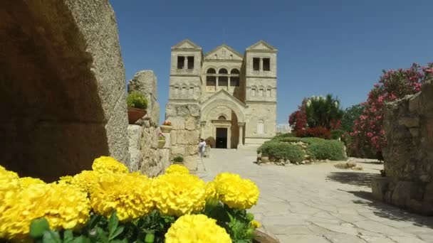 Riesige Kirche steht in der Ferne hinter gelben Blumen — Stockvideo