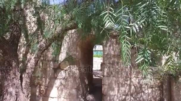 Sbirciare attraverso minuscola porta in muro di pietra con ulivi — Video Stock