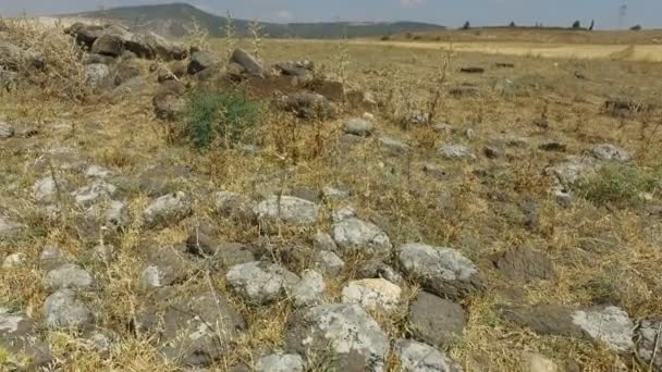 Pan lento sobre rocas del viejo camino romano en Israel — Vídeos de Stock