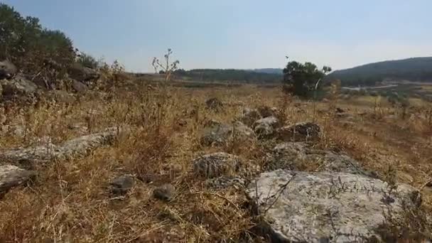 Gå igenom ogräs över vad som brukade vara en romersk väg i Israel — Stockvideo