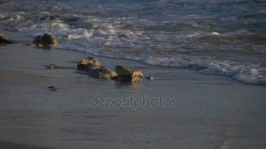 Sahilde yalnız kayalar dalgalar üzerinde ağır çekim çamaşır