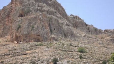 Sivri tepe aşağı dalları çırpınan için pan 