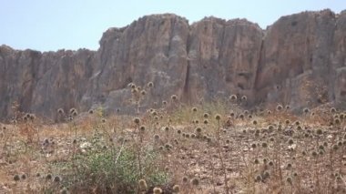 Dağ sırtı İsrail'in üst üzerinde Pan yavaş