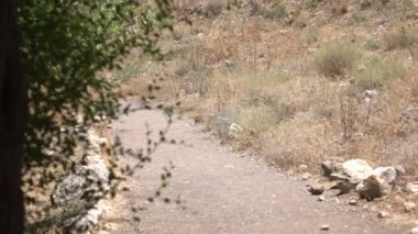 Güneş bakan aşağı kuru çöl yolunda