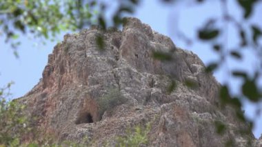 Ön planda mesafe dallarında yüksek dağın