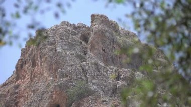 Dağ tepe çöl ağaç dalları tarafından kapatmamasını