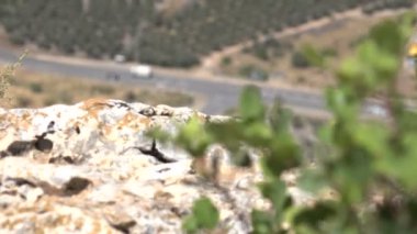 Yol ve arabalar kadar aşağıdaki Cliffside'a üzerinde kaydırma