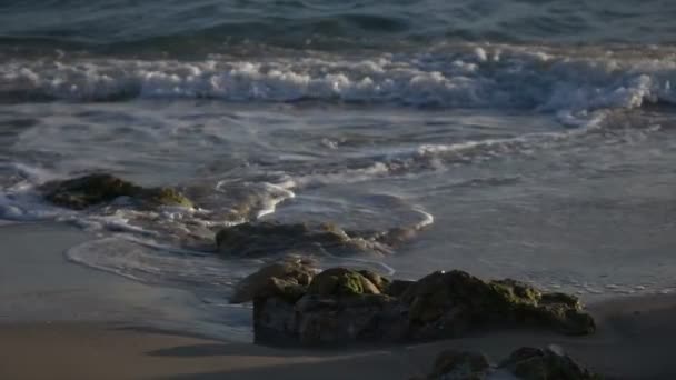 Kayalık kumsalda çalkalama yavaş dalgalar — Stok video