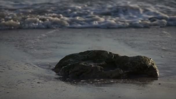 Olas de cámara lenta rompiendo en la roca en la orilla al atardecer — Vídeo de stock