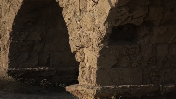 Strak schot van Romeins aquaduct ruïnes in Caesarea, Israël — Stockvideo