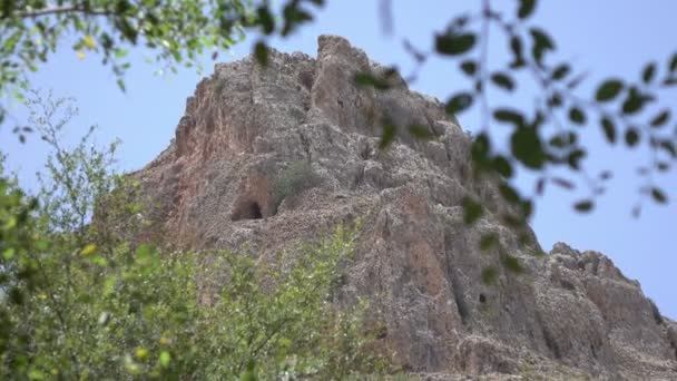 Gröna grenar hängande framför bergstopp i avstånd — Stockvideo