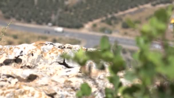 Panning Over Cliffside to Road and Cars Far Below — Stok Video
