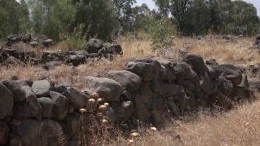 Yavaş Pan antik moloz üzerinde Stonewall İsrail ' 