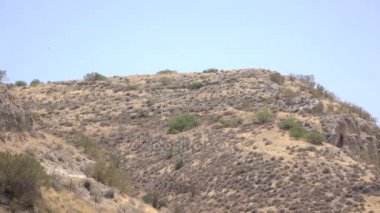 Kuru İsrail çöl arazide dağlar başında 