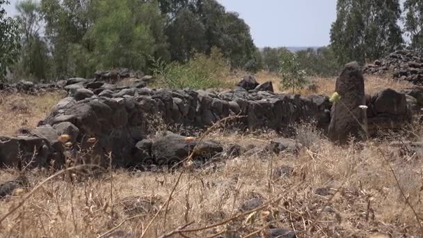 Langsamer Schwenk über Überreste der Stadt in Israel — Stockvideo