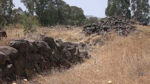 Slowly Panning Over Remains of Ancient City in Israel — Stock Video