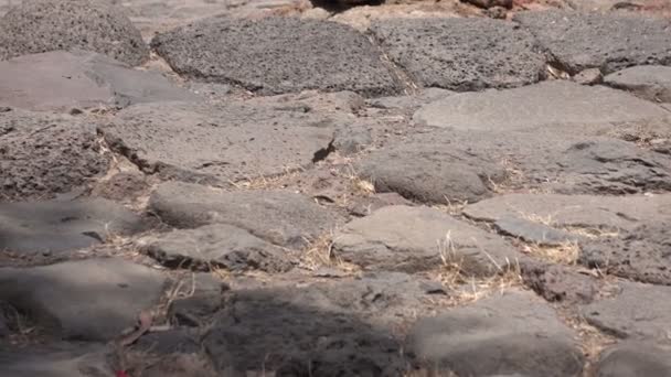 Langzame Pan Over stenen pad bij ingang van de verwoeste stad — Stockvideo