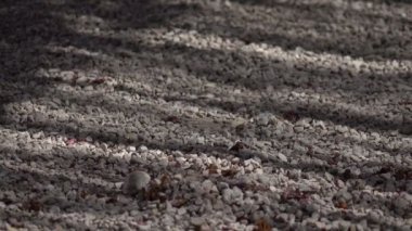 Uzun öğleden sonra gölgeler gergin çakıl üzerinde 