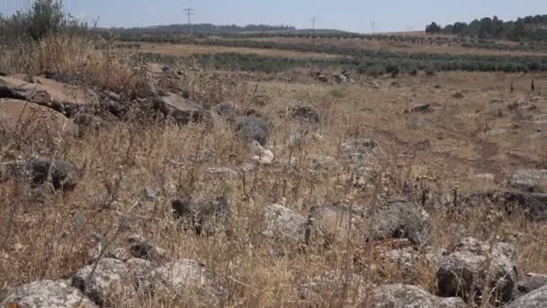 Стоя на руинах древнеримской дороги — стоковое видео