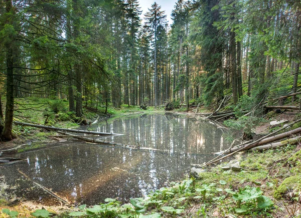 Lago Verkhovoye nei Carpazi — Foto Stock