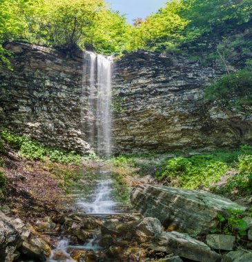 Güzel küçük şelale