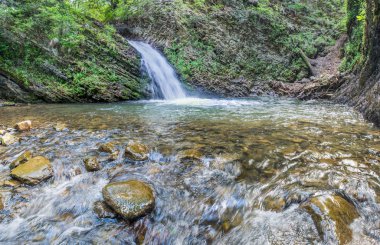 Güzel küçük şelale