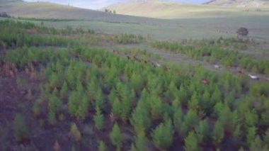 Atlar havadan görünümü