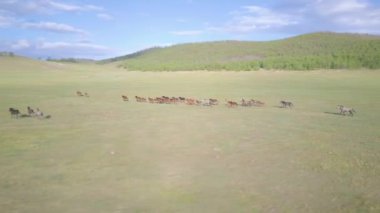 Atlar havadan görünümü