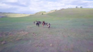 Atlar havadan görünümü