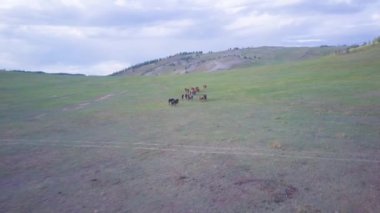 Atlar havadan görünümü