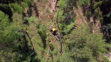 Hava görmek, Sibirya orman günlüğü.
