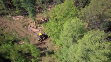 Hava görmek, Sibirya orman günlüğü.