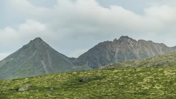 ProRes. Zaman atlamalı. Oluşumu ve bulutlar Dağların üzerinden hareket. Manzara. Sibirya. — Stok video